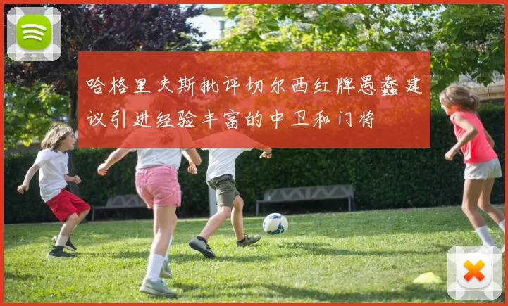 哈格里夫斯批评切尔西红牌愚蠢建议引进经验丰富的中卫和门将